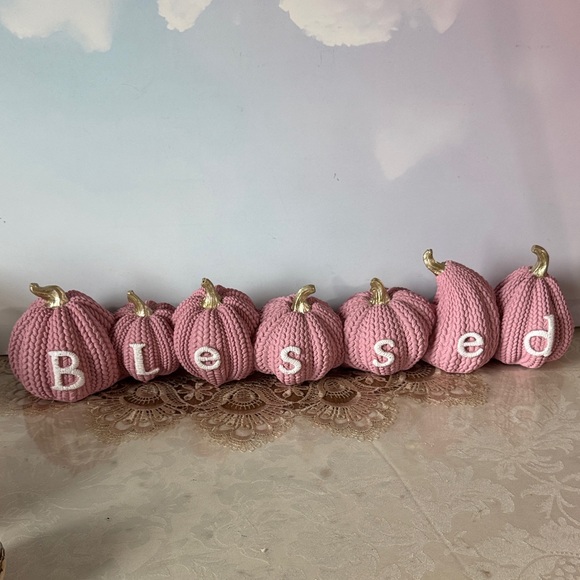 Homegoods Other - Harvest Pink Knitted Pumpkins Decor (resin)